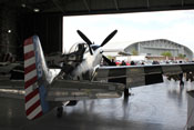 North American P-51 'Mustang' - Fragile but Agile
