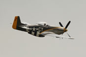 North American P-51 'Mustang' CY-D - Miss Velma -
